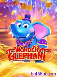 WonderElephant